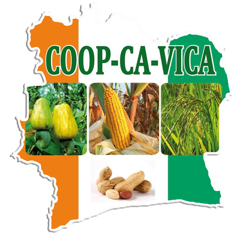 COOP CA VICA | AGRICOLE | AGRICULTURE | COOPÉRATIVES | AGRICULTURE MODERNE | TRANSFORMATION AGRICOLE | COMMERCIALISATION | COOPERATIVE AGRICOLE |